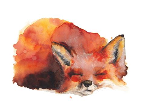 Dormire Aquarelle Fox Pittura Stampa Fine Art E Originale Etsy Fox