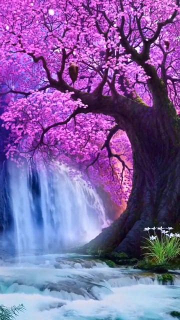 3d Animated Wallpapers Of Nature