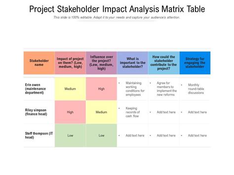 Stakeholder Success Maximizing Project Impact In