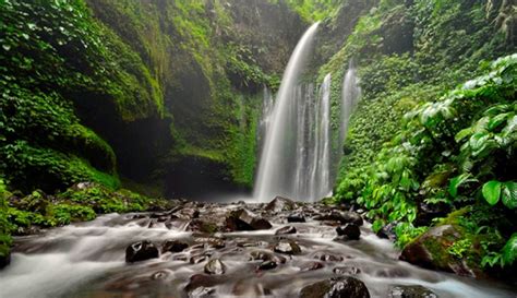 Tiu Kelep Waterfall In Bayan Sub District Lombok Island