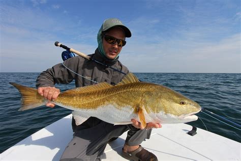 Charleston Fishing Charters For Inshore With Light Tackle
