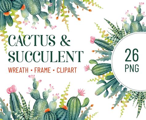 Watercolor Cacti Wreath Frame Clipart Succulent Clip Art Etsy