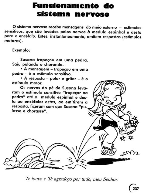 Exercicios Sobre Os 5 Sentidos 6 Ano Com Gabarito