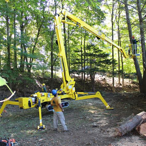 Forestry Bucket Truck 1x1 Artistic Tree And Landscape Creation