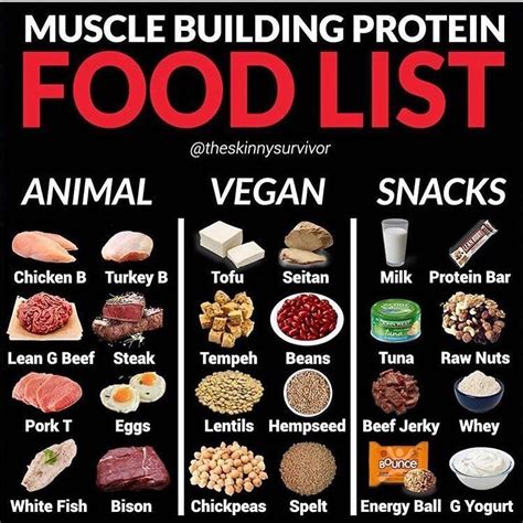 7 Sources Of Protein That Will Help Muscle Gain And Health Gymguider