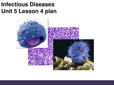 Ppt Infectious Diseases Unit 5 Lesson 4 Plan Powerpoint Presentation