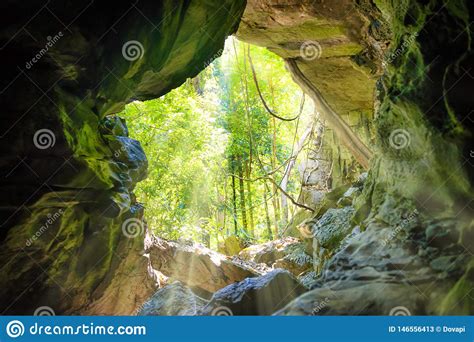View From Inside To Entrance Of Natural Cave Stock Image Image Of