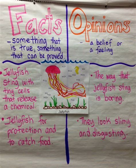Facts And Opinions Based On Non Fiction Text About Jellyfish