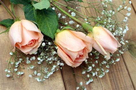 Rosas Flores Bouquet Foto Gratis En Pixabay Pixabay
