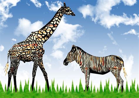 Giraffes And Zebras Saferbrowser Yahoo Image Search Results Zebras