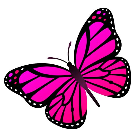 Butterfly Png Butterflies Png Pngbuy