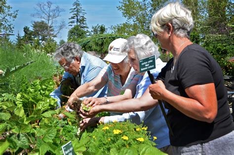 Horticultural Therapy Coastal Maine Botanical Gardens