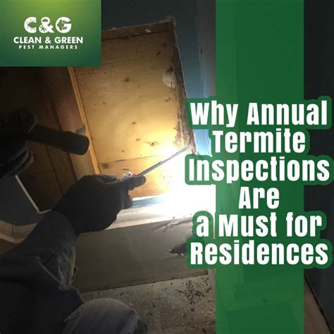 Why Annual Termite Inspections Are A Must For Residences · Clean