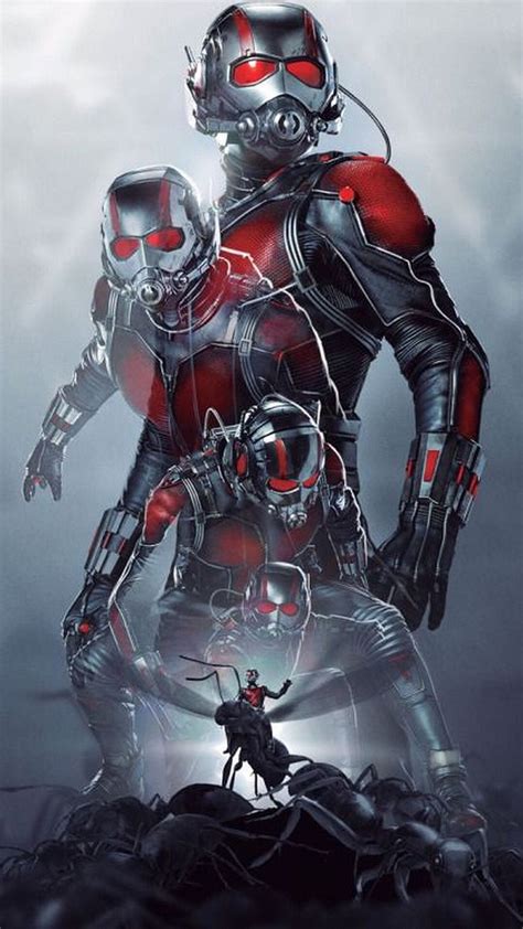 Ant Man Super Heroes Marvel Superhero Movies Marvel Movies