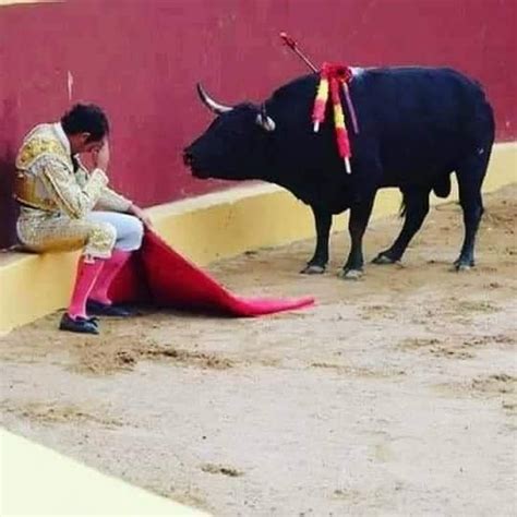 il torero Álvaro múnera si pentì della sua violenza durante una corrida ogigia