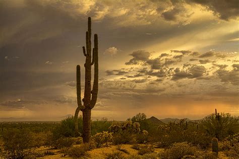 Ominous Desert Skies Photograph By Saija Lehtonen Fine Art America