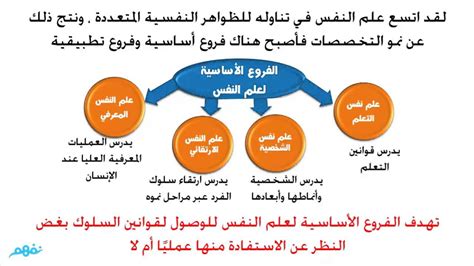 معلومات عن دراسة علم النفس