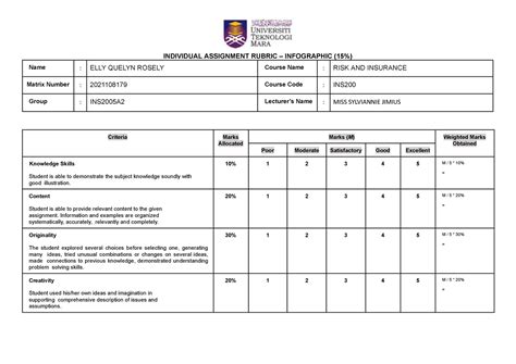 Ins200 Assignment 1 Rubric Individual Assignment Rubric Infographic