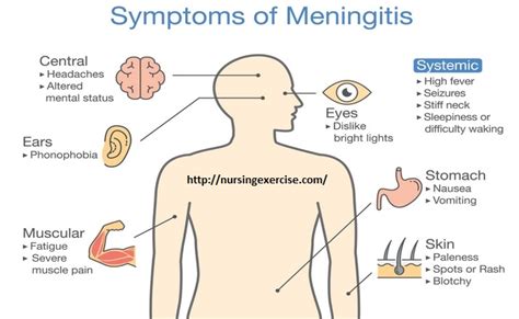 Meningitis Symptoms Diagnosis And Complications