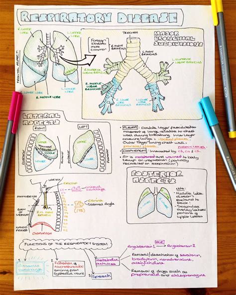 Notes Respiratory System