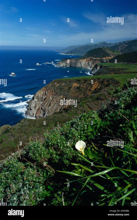 Big Sur Coastline California Usa Stock Photo Alamy