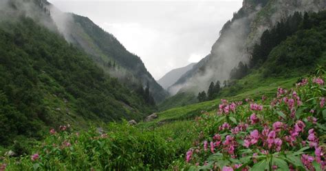 Great Himalayan National Park Himachal Pradesh Birderpics
