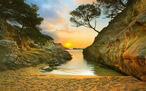 Nature Landscape Sunrise Beach Sand Trees Rock Coast Sea Wallpapers Hd Desktop And