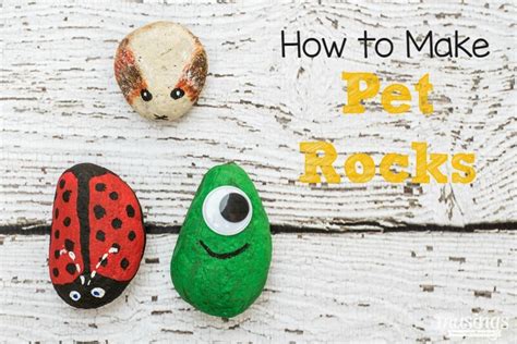 How To Make Pet Rocks Musings From A Stay At Home Mom