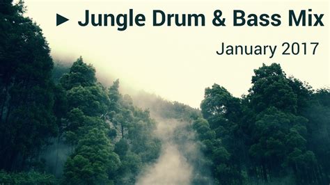Jungle Drum And Bass Mix January 2017 Youtube