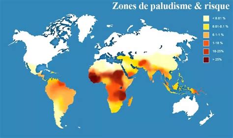 Le Paludisme Va Se D Placer En Afrique Cause De La Fonte De La