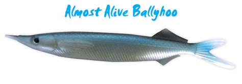 Ballyhoo Almost Alive Lures The Best There Ever Was