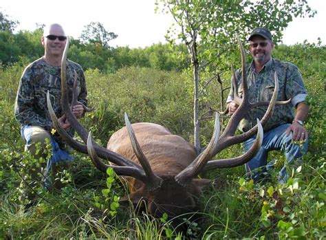 Minnesota Gets New Record Elk Hunter Gets Rare Choice Of Category
