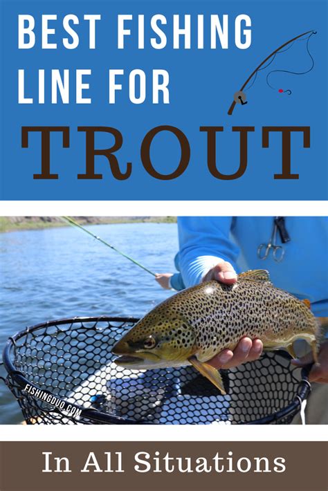 It's going to impact a lot. Best Fishing Line for TROUT in 2020 | Lake trout fishing ...