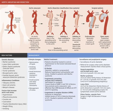 Abdominal Aortic Aneurysm Size Chart