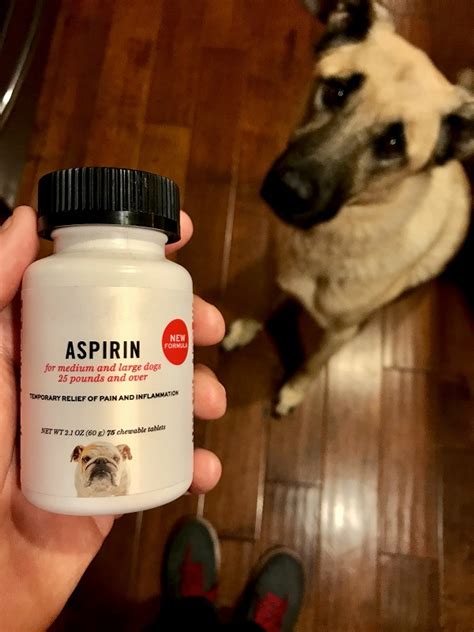 What Is The Right Dosage Of Aspirin For Dogs Dogexpress