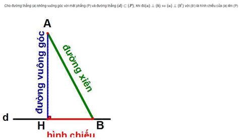 Hình Chiếu Là Gì Cách Vẽ Hình Chiếu Chuẩn Xác Trong Toán