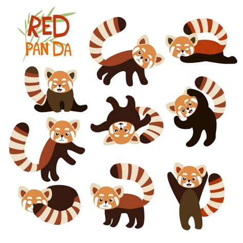 Red Panda Vector At Collection Of Red Panda Vector