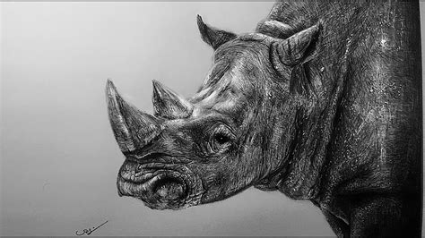 Drawing A Realistic Rhino Graphite Pencils Youtube