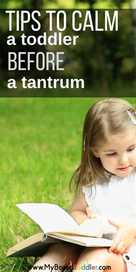 Tips To Calm A Toddler Before A Tantrum My Bored Toddler