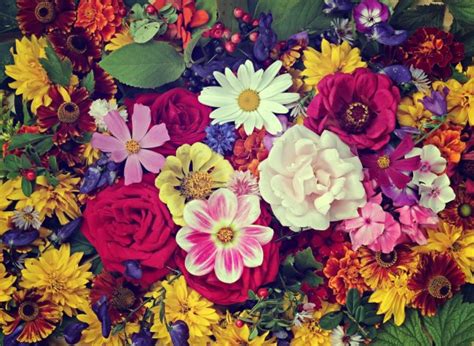 Here you can find different types of flower pictures, among them red flowers, white flowers, rose flowers, spring flowers, flower wallpapers and other flower images. Flower background Stock Photos, Royalty Free Flower ...