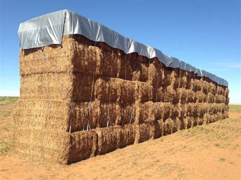 Dry Place Paddy Straw Bales 20 Kg Rs 25 Kilogram Punjab Renewable