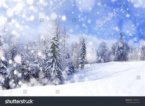 Beautiful Winter Landscape Snow Covered Trees Stock Photo