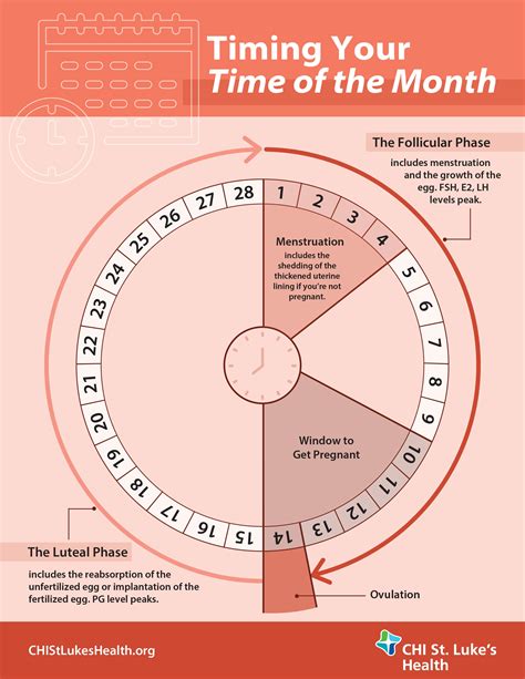 A Womans Guide To Her Menstrual Cycle Tracking Menstrual Cycle Menstrual Cycle Chart
