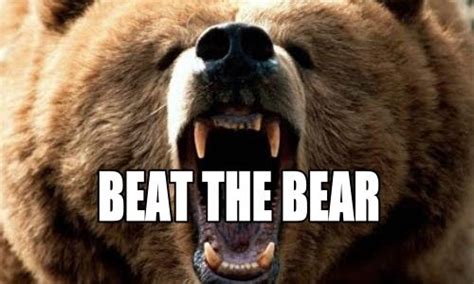 Beat The Bear Strategies For Selling Put Options For Income In A Bear