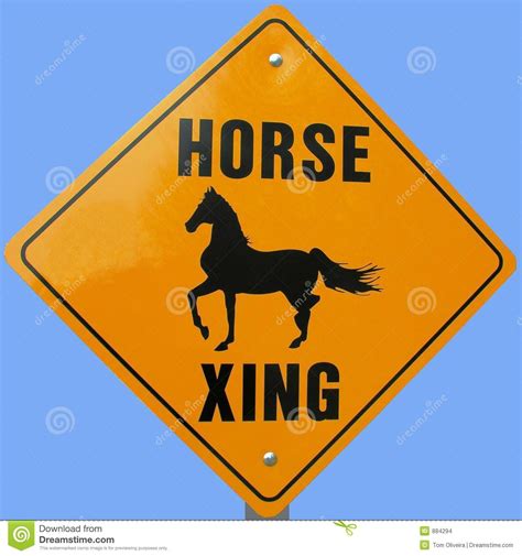 Horse Crossing Sign Stock Photo Image Of Road Equestrian 884294