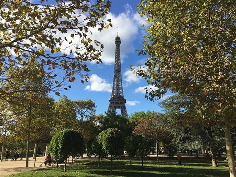 Eiffel Tower Through The Trees Paris Photograph By Jody Powers Fine