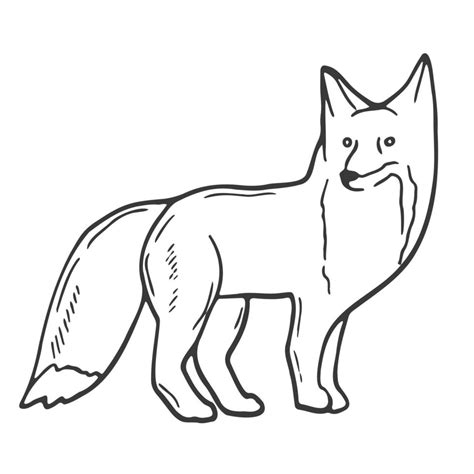 Contour Image Of A Fox Black Silhouette Of An Animal Doodle Icon Of A