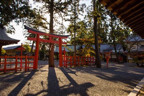 Le Sanctuaire Yoshida Jinja Tekuteku Japan