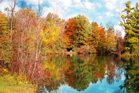 Autumn Fall Season Leaves · Free Photo On Pixabay