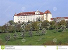 Castle of Ellwangen in Germany Stock Photo - Image of castle ...